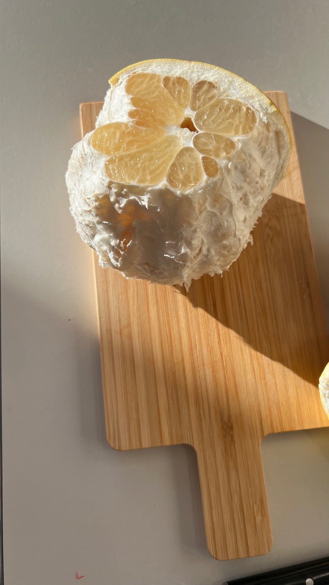 AMBIVALENT är det nya heta