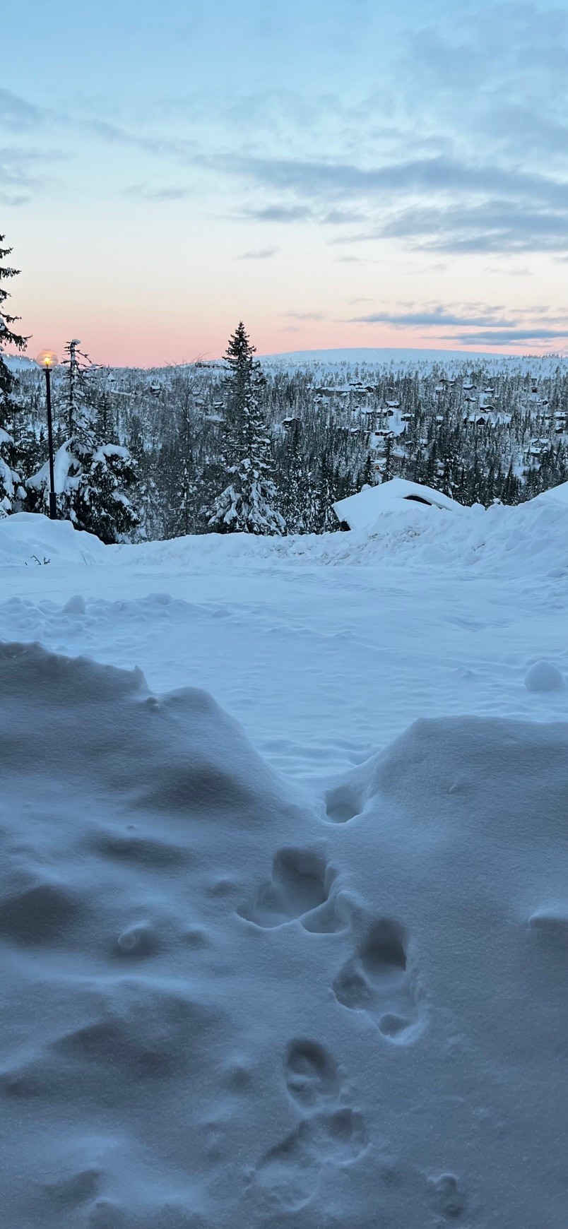 PINTEREST VS REALITY