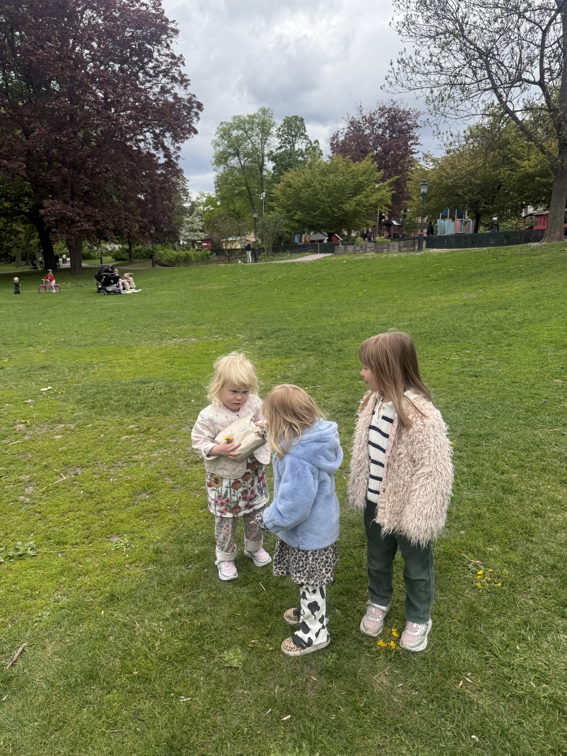 In the park