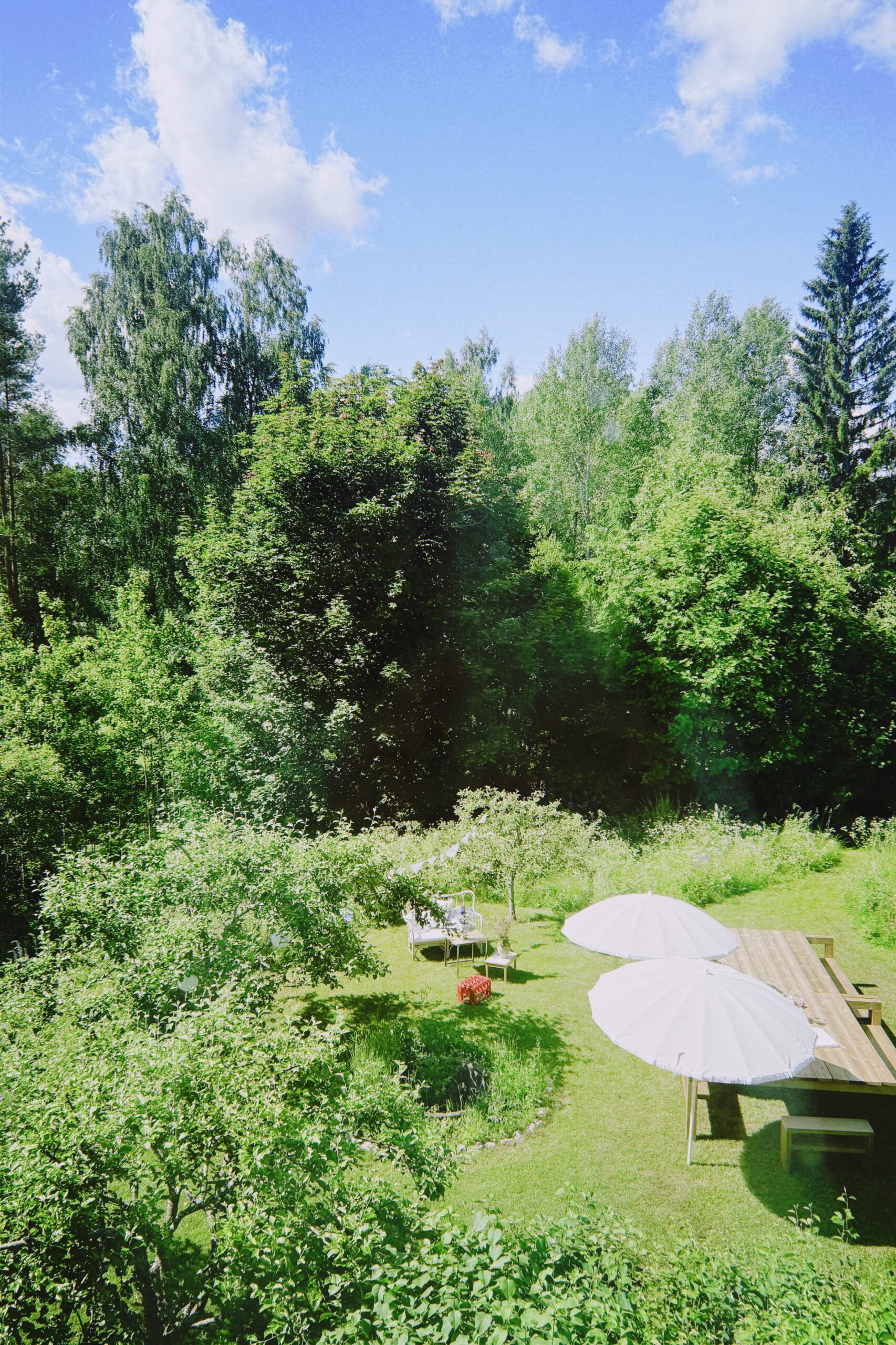 midsummer