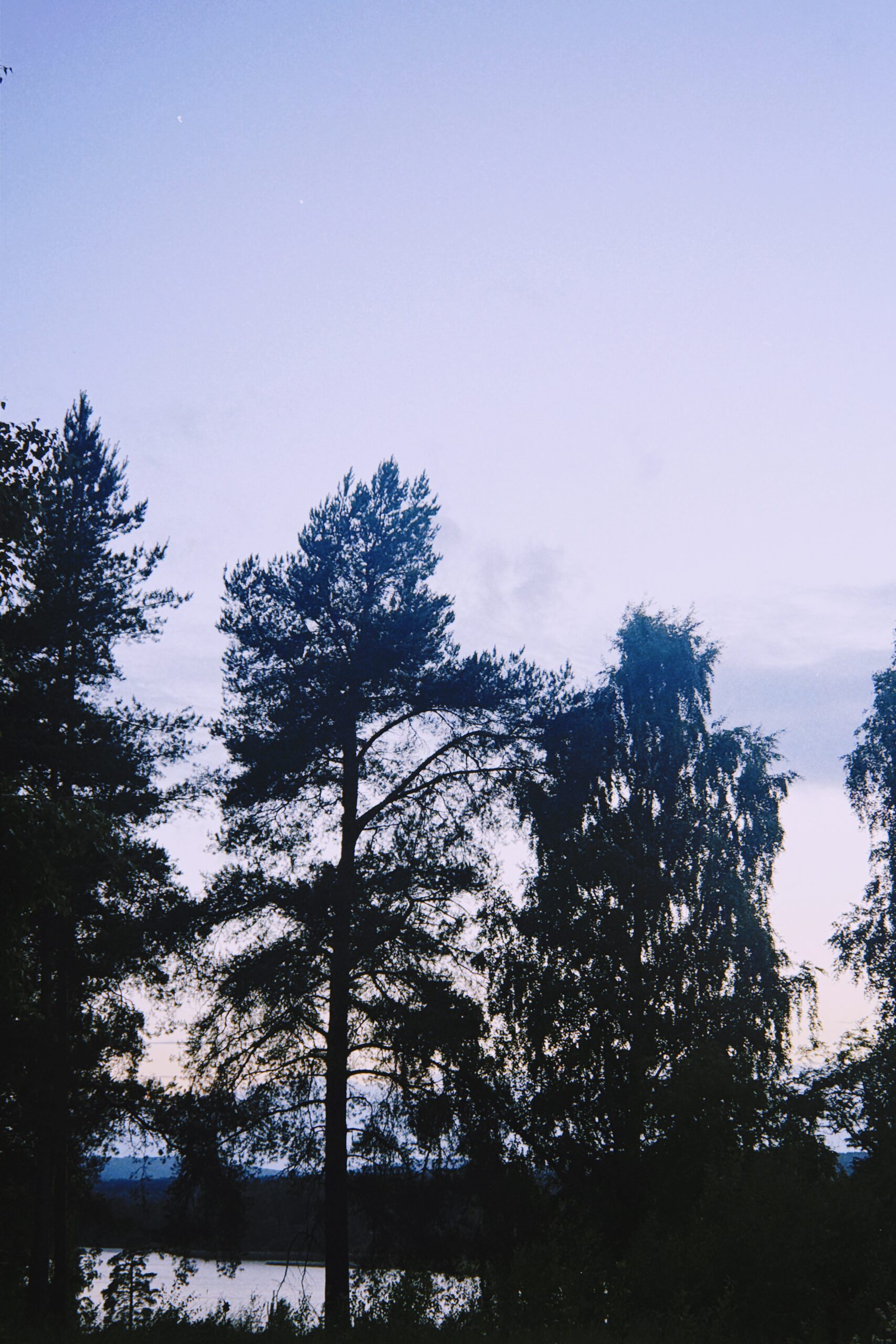 midsummer