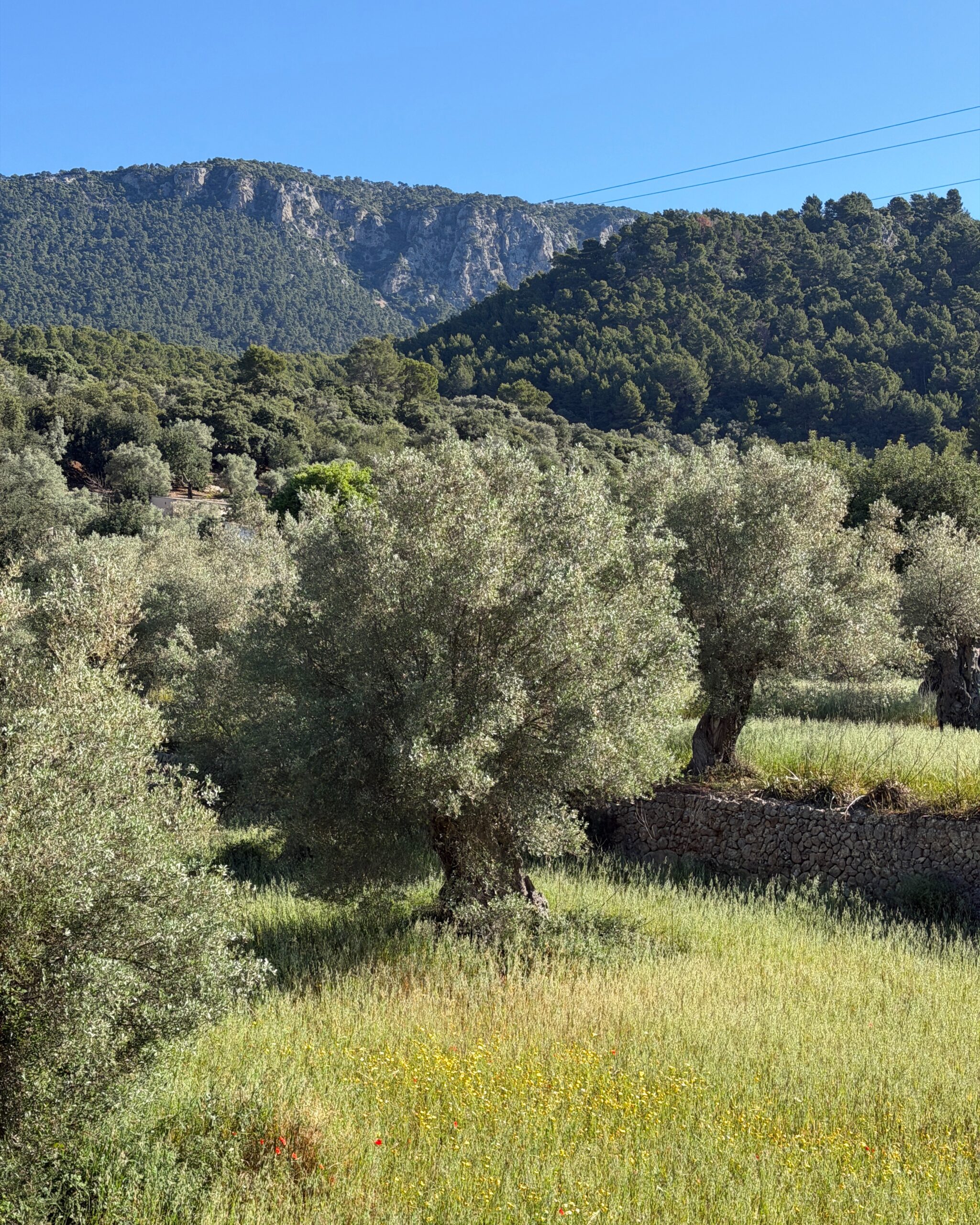 Mallorca och Serra de Tramuntana