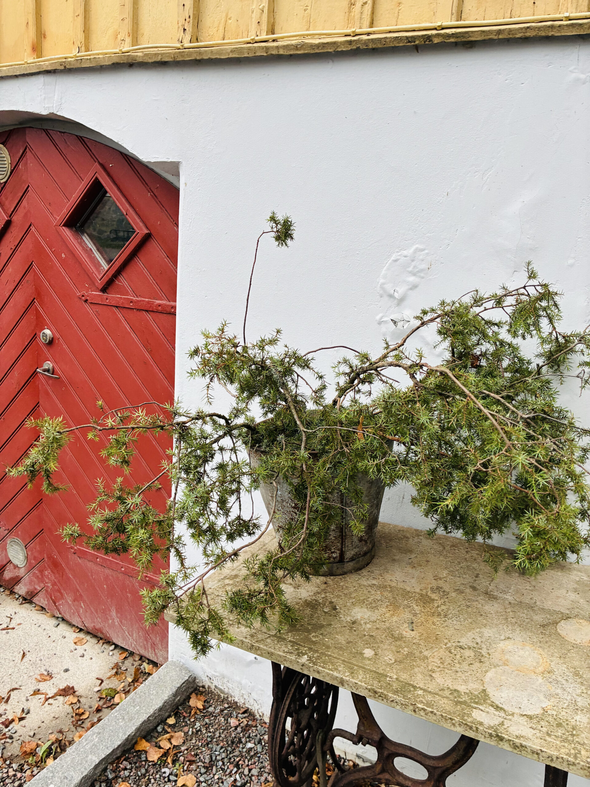 Allt har sin tid
